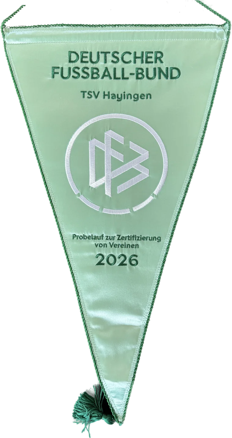 Wimpel des Deutschen Fußball-Bunds: Probelauf zur Zertifizierung von Vereinen 2026, TSV Hayingen